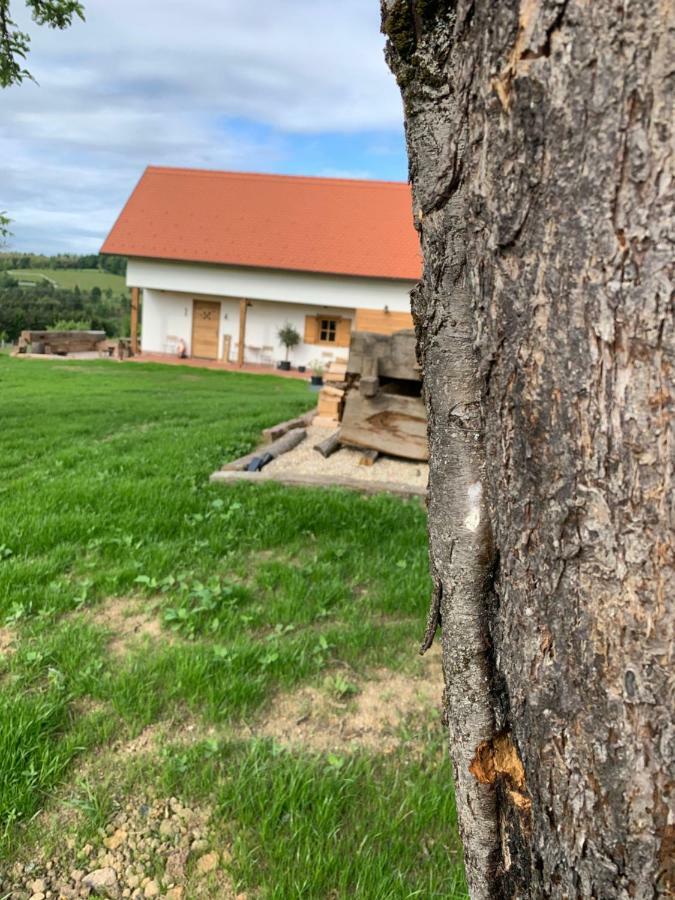 Das Weinstoeckl Inzenhof Esterno foto